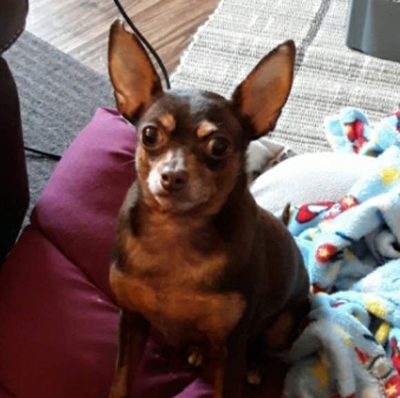 Meet your Posher, !Beth - Picture 3 of 8